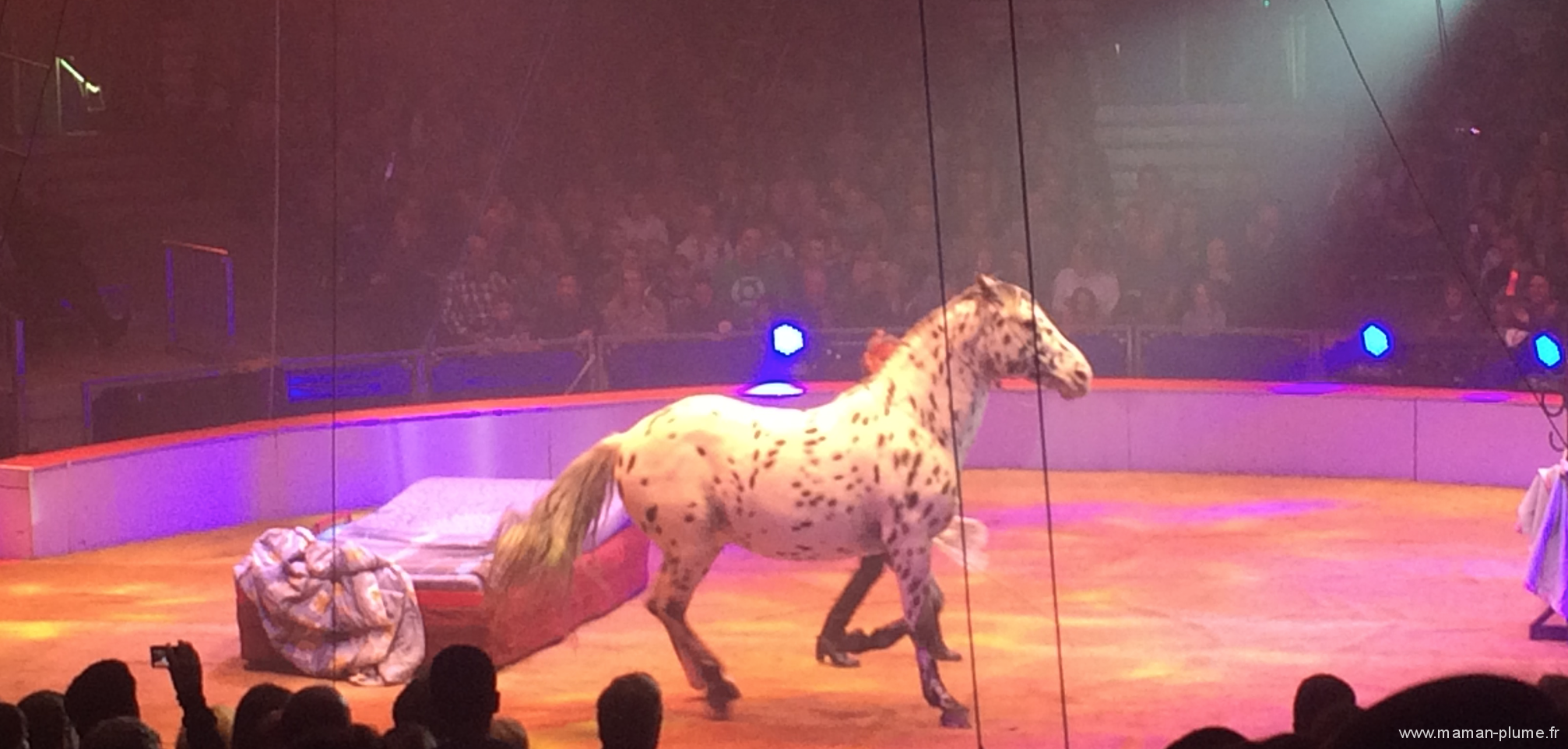 La grande fête Lilloise du cirque 2015