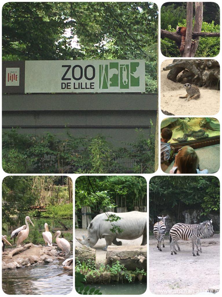 zoo de lille