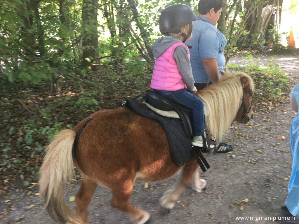 musee-de-pleine-air-le-festin-des-chevalier-poney