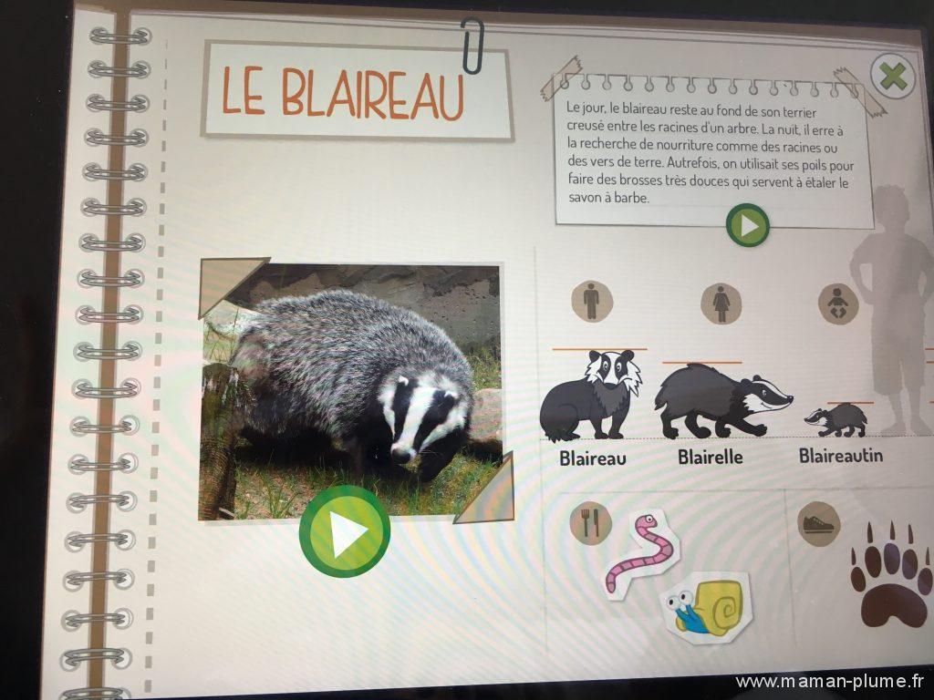 box-pandacraft-octobre-application-foret-fiche-animaux