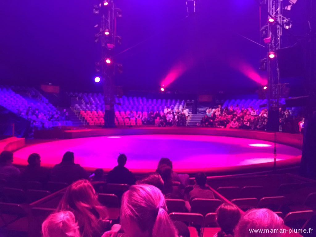cirque-arlette-gruss-lille-piste