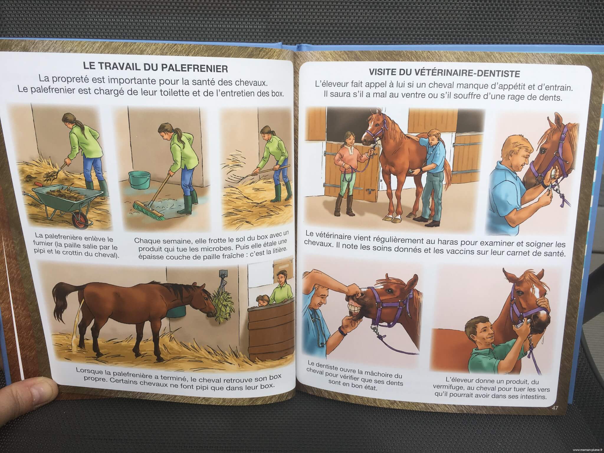L&rsquo;imagerie des pompiers, du poney et du cheval &#8211; Fleurus