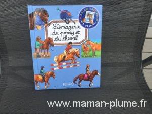 L&rsquo;imagerie des pompiers, du poney et du cheval &#8211; Fleurus