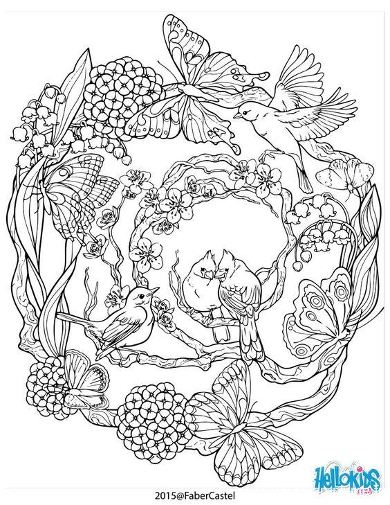 Coloriage Adulte nature animaux  Le blog de Maman Plume