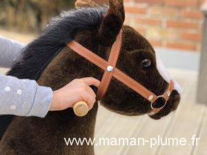 Un amour de poney&#8230;