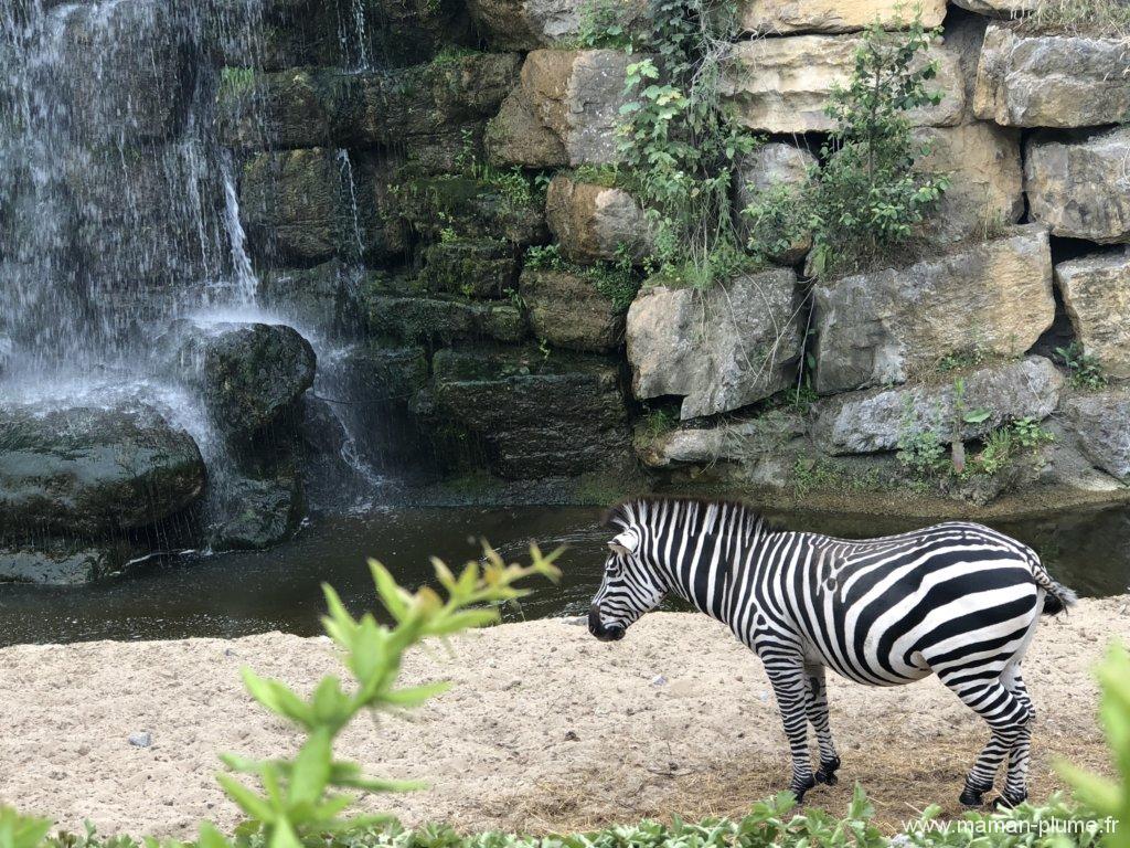 Une journée en famille à Pairi Daiza