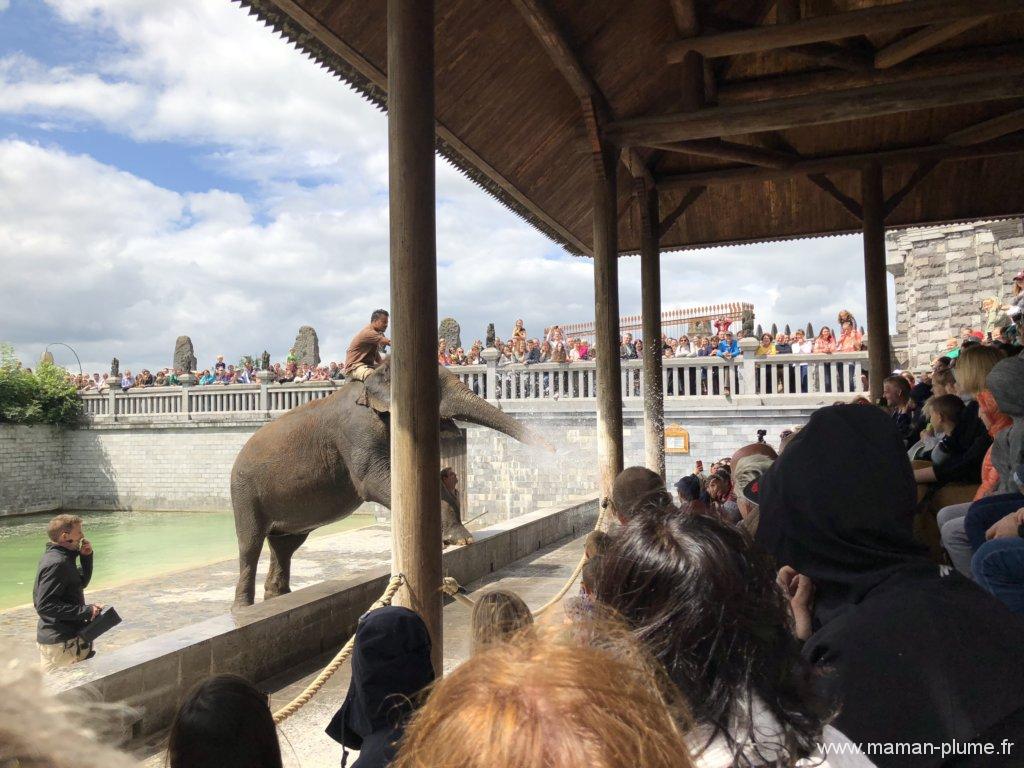 Une journée en famille à Pairi Daiza