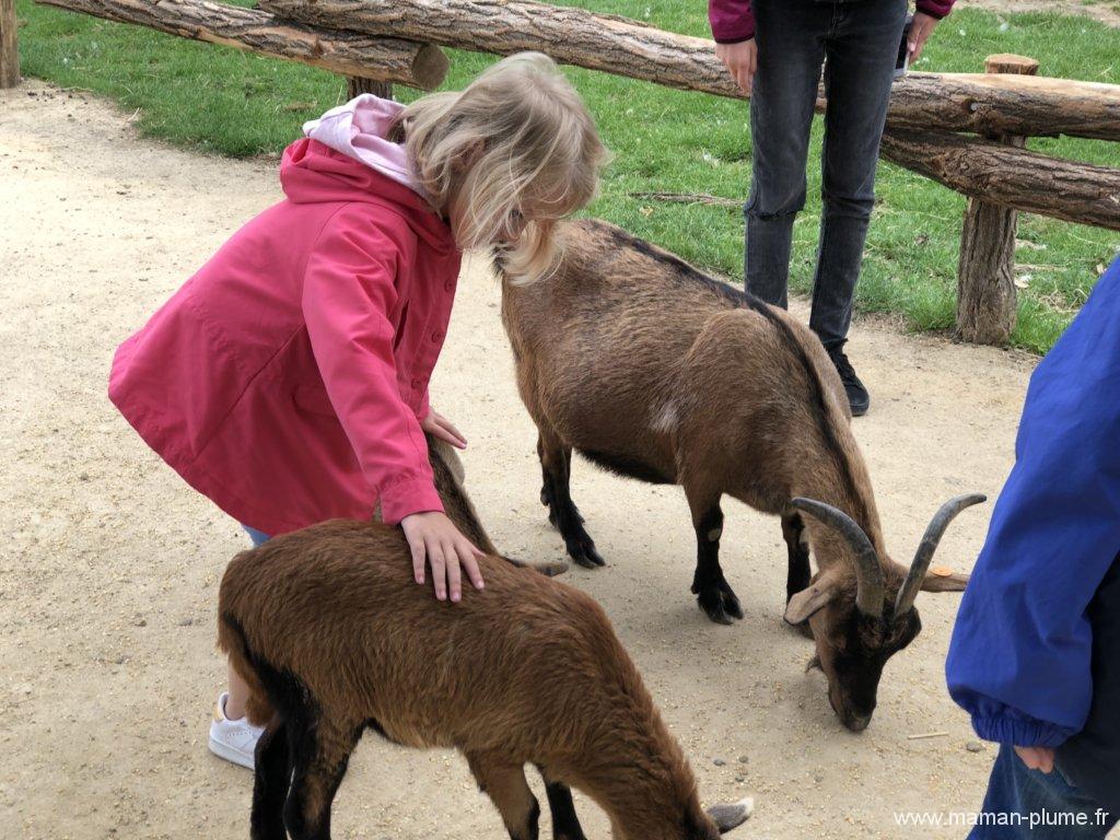 Une journée en famille à Pairi Daiza