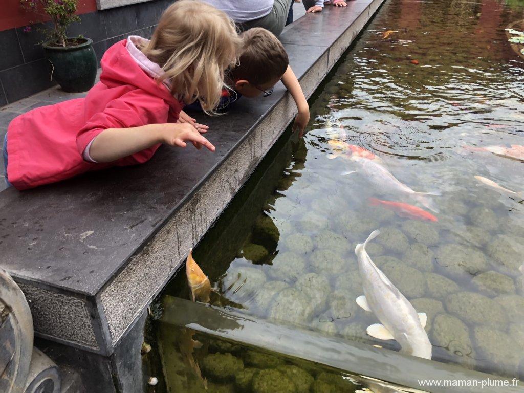 Une journée en famille à Pairi Daiza