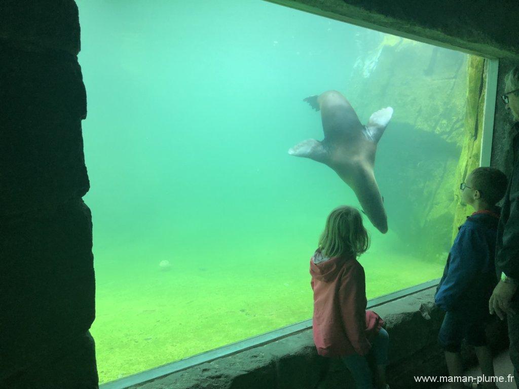 Une journée en famille à Pairi Daiza