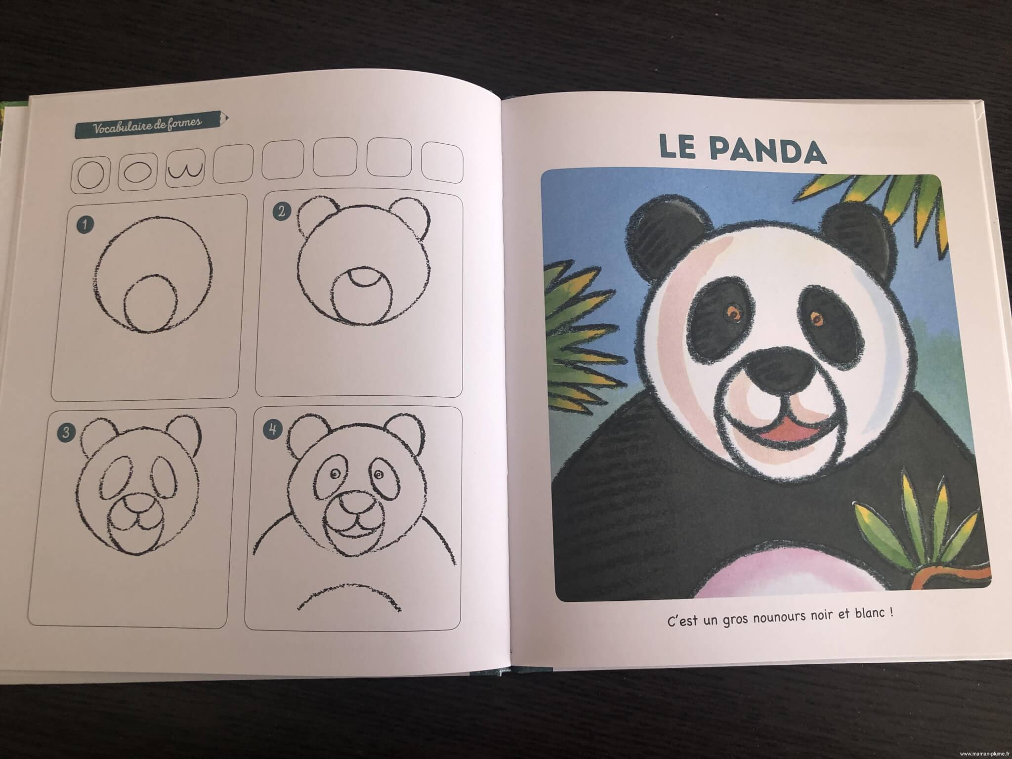 J'apprends à dessiner les animaux - Papeterie Paon