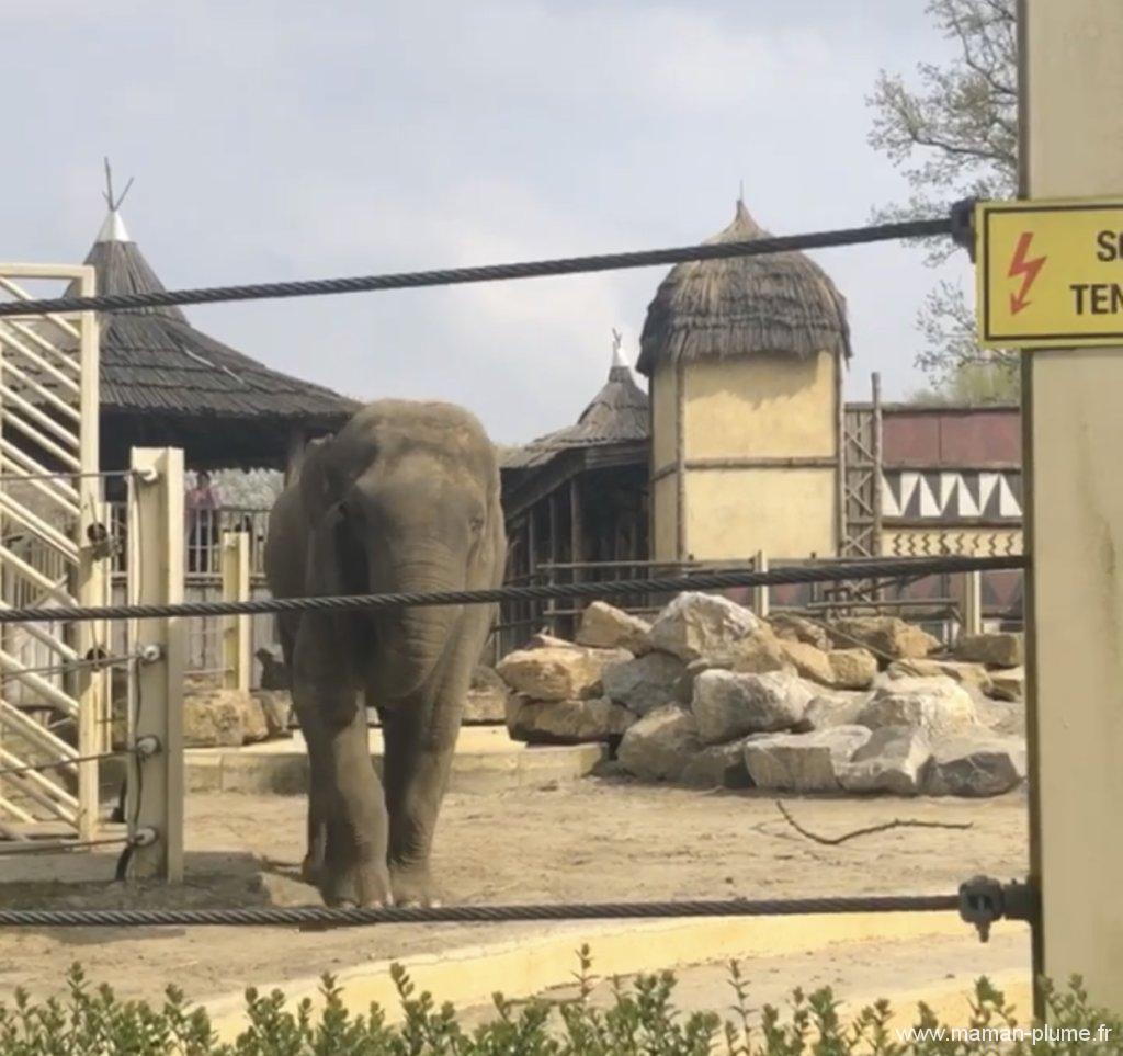 Une sortie en famille à Bellewaerde