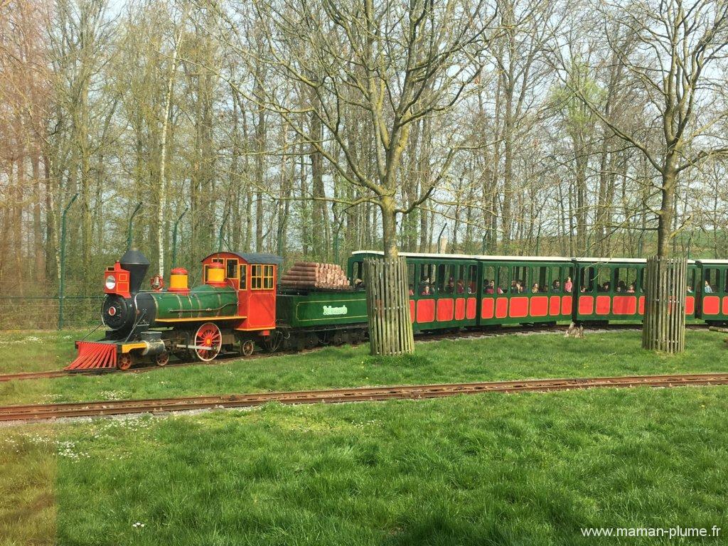 Une sortie en famille à Bellewaerde