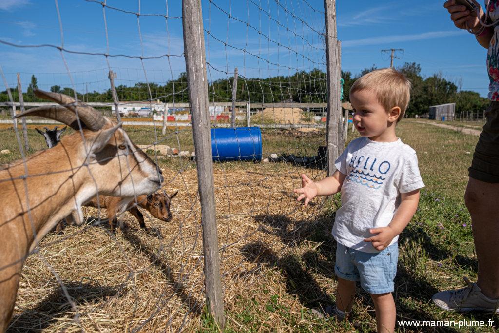 Une semaine sur l&rsquo;île d&rsquo;Oleron en famille