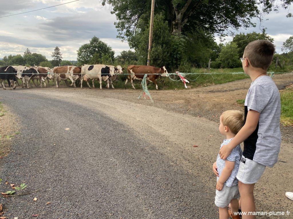 Que faire en Auvergne, notre séjour en famille