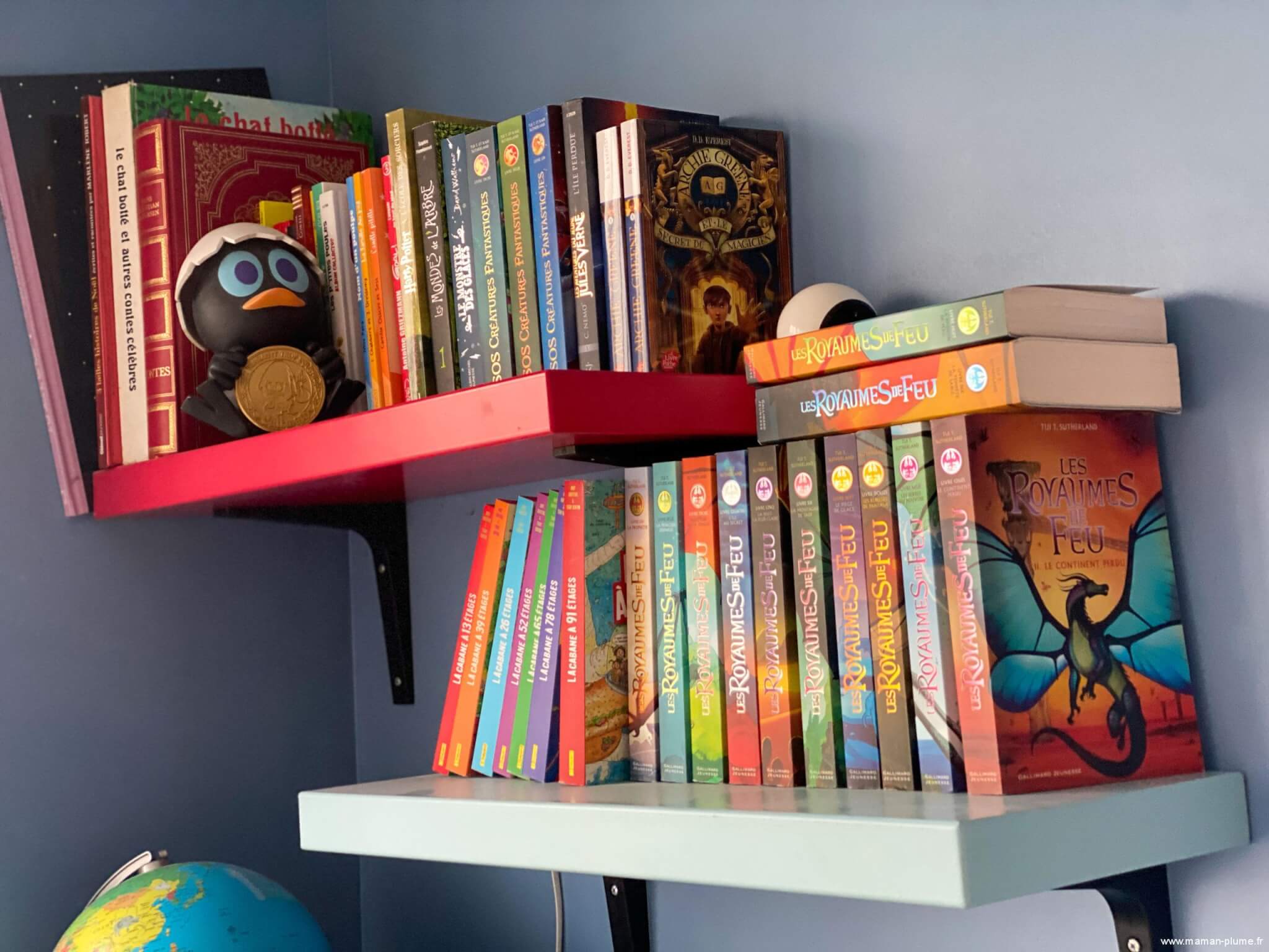 La bibliothèque de Max, 10 ans, dévoreur de livres !