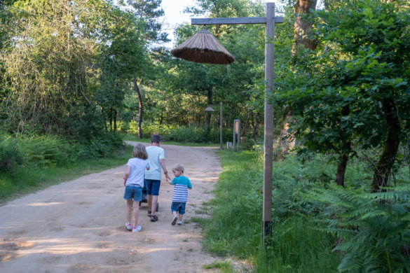 camping-sandaya-alicourts-4102 Sandaya les Alicourts, 4 jours dans le Cher !
