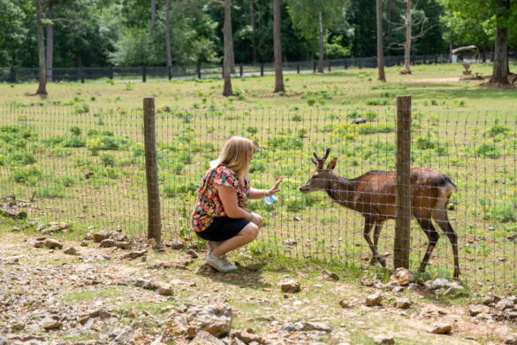 domaine-grottes-han-5470 Domaine des grottes de Han, 2 jours en pleine nature