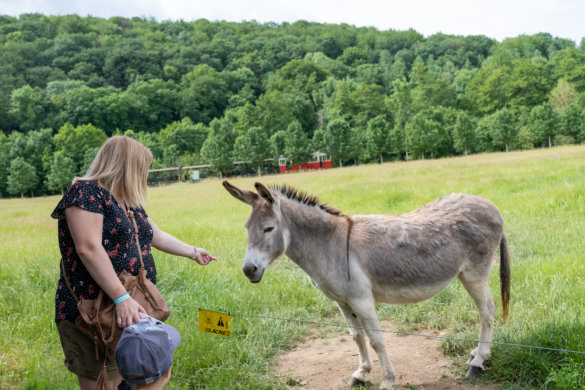 domaine-grottes-han-5918 Domaine des grottes de Han, 2 jours en pleine nature