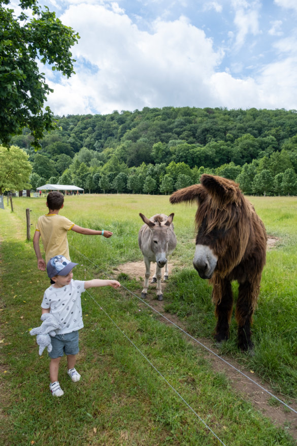 domaine-grottes-han-5936 Domaine des grottes de Han, 2 jours en pleine nature