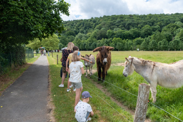 domaine-grottes-han-5958 Domaine des grottes de Han, 2 jours en pleine nature
