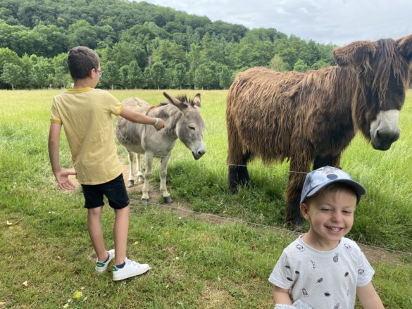 IMG-7232 Domaine des grottes de Han, 2 jours en pleine nature