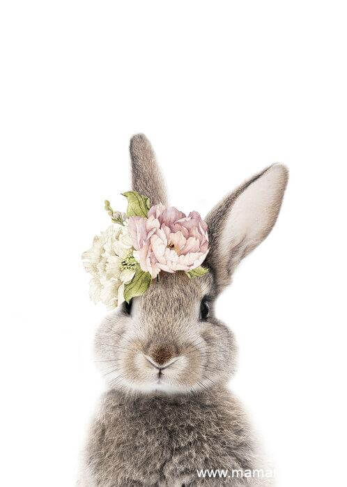 floral-bunny Ma sélection déco chez Photowall