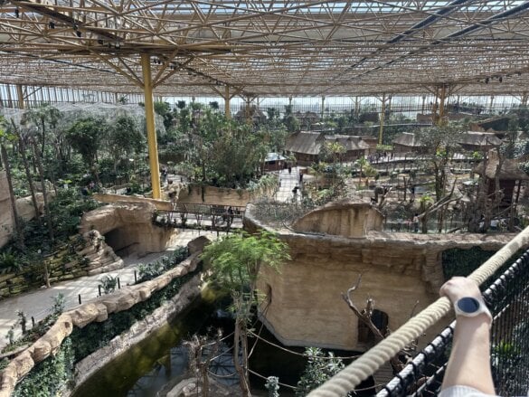 pairidaiza2026-31 Une journée à Pairi Daiza en famille