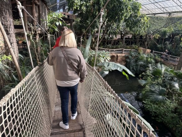 pairidaiza2026-4 Une journée à Pairi Daiza en famille