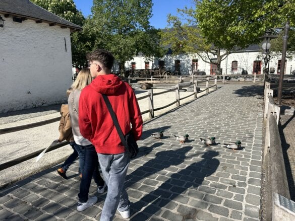 pairidaiza2026-8 Une journée à Pairi Daiza en famille