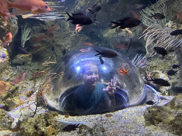 IMG_8299 Une visite en famille à l’aquarium de Vendée avec les enfants